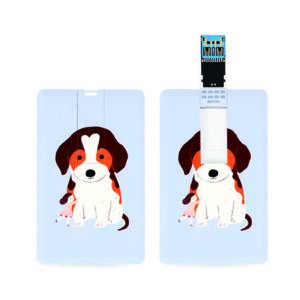 USB 기념품제작 망고스토리지 카드형 USB3.0메모리 16GB