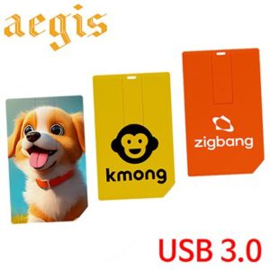 이지스 카드형 USB제작 3.0 메모리 16GB 대표이미지